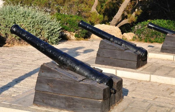 L'arme de Napoléon . — Photo