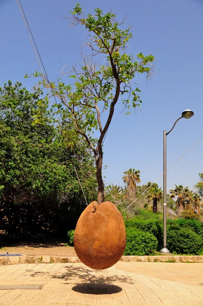 Unoszące się drzewa pomarańczowego. Jaffa. — Zdjęcie stockowe