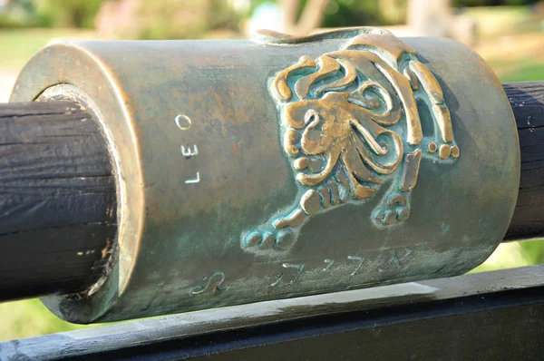 Знак зодиака Льва. — стоковое фото