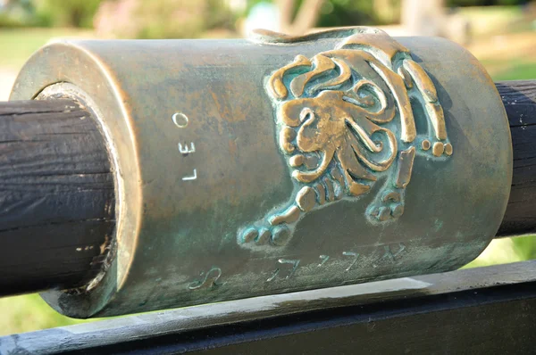 Signo del zodíaco Leo. — Foto de Stock