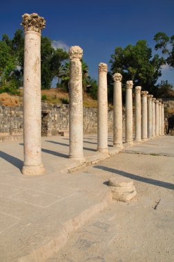 Beit shean sütunlar.