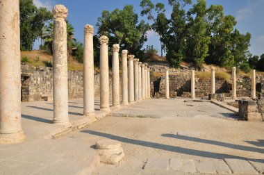 Beit Shean columns. clipart