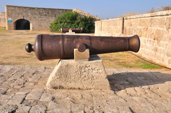 Historic gun. — Stock Photo, Image