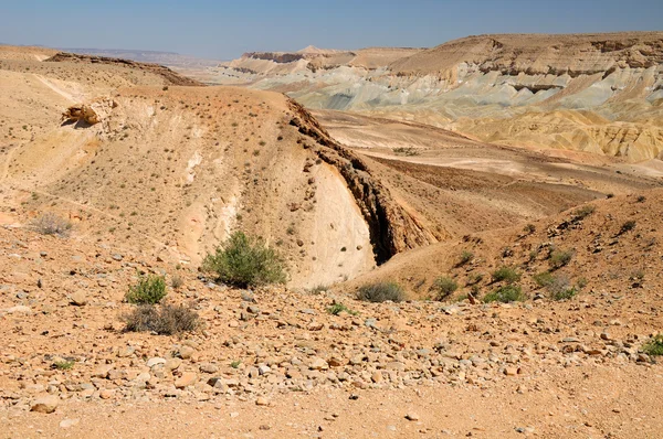 Negevská poušť. — Stock fotografie
