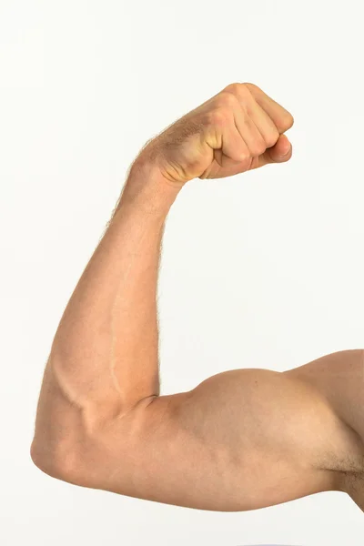 Imagem de um flexão do braço muscular — Fotografia de Stock