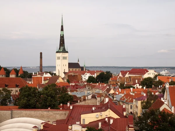 Tallinn vue sur la ville — Photo