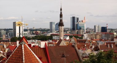 Tallinn şehir görünümü