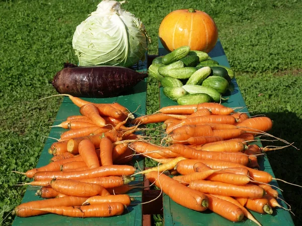 stock image Vegetables collection