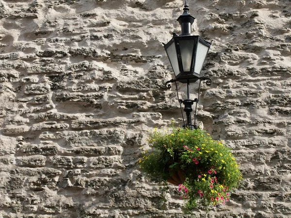 Лампа и цветы на стене — стоковое фото