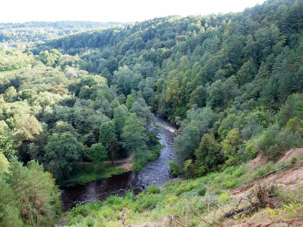 Floden i skoven - Stock-foto