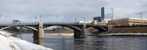 Lithuanian parliament, old bridge and river — Zdjęcie stockowe