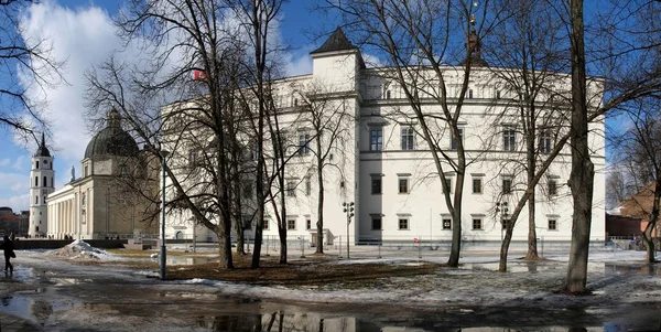 Reconstruction du Palais Royal de Lituanie à Vilnius — Photo