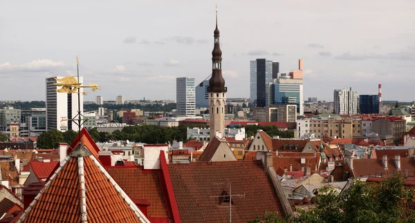 Tallinn vista sulla città — Foto Stock