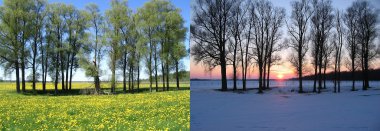 Two views: trees in field clipart