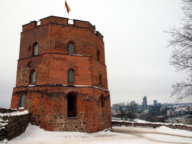 Castle in Vilnius clipart