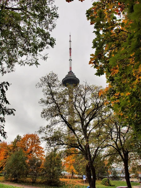 Vilnius ağaçlar ve televizyon kulesi — Stok fotoğraf
