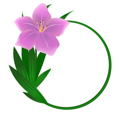 Beautiful round lily flower background clipart