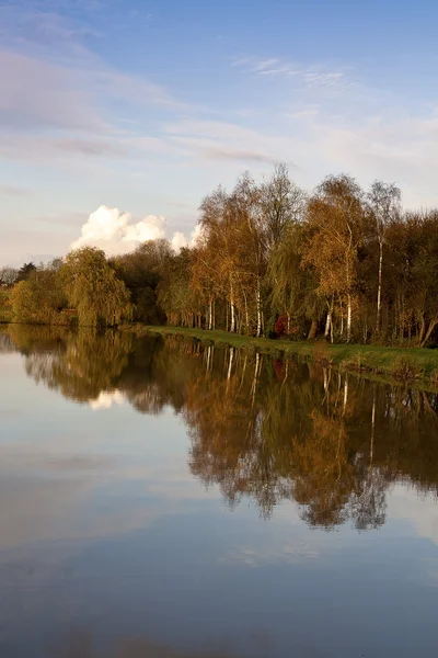 stock image Tree reflection in lake