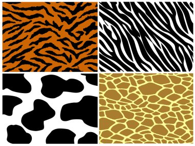 Tiger, zebra, cow and giraffe print clipart