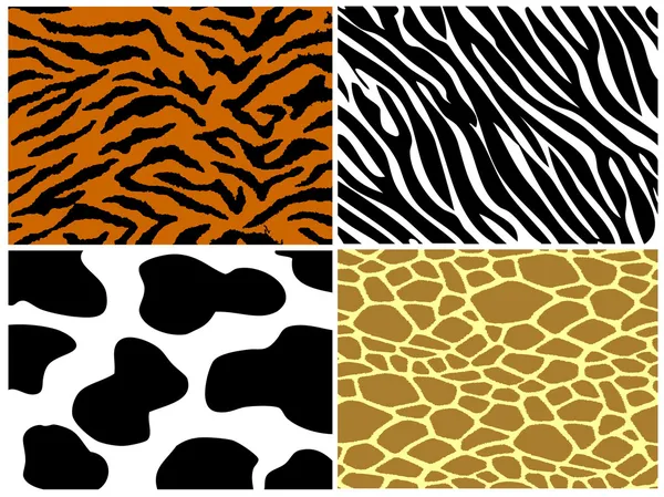 Tiger, zebra, cow and giraffe print — Stock Vector