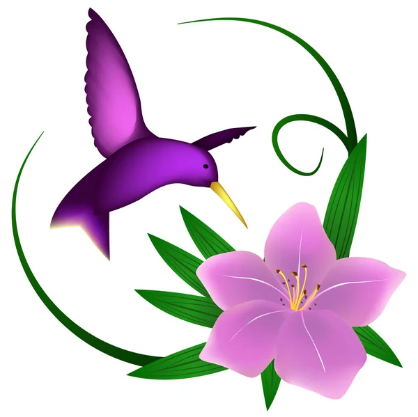 Kolibri und Lilie — Stockvektor