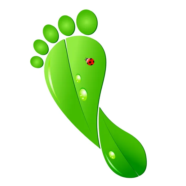 Ecologic footprint — Stock Vector