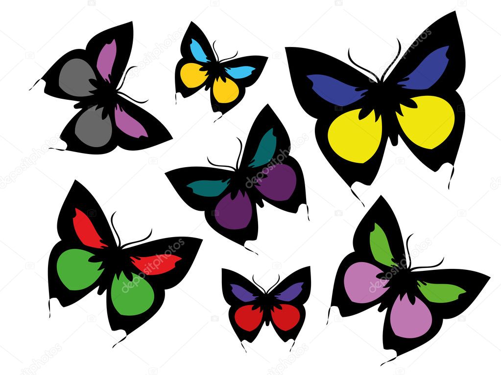 Collection of coloured butterflies