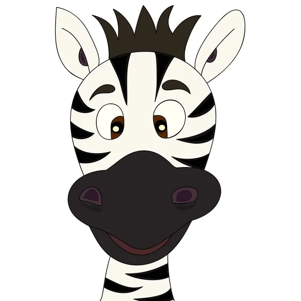 Zebra cartoon — Stock Vector
