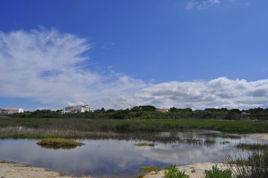 Santo Andre lagoon clipart