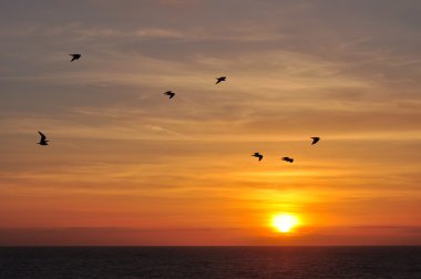 Sunset beach, san torpes, Portekiz