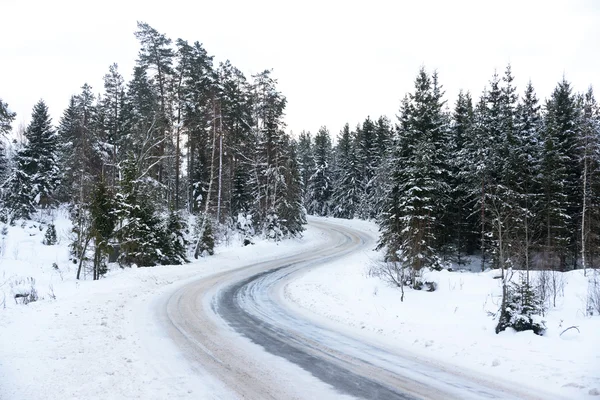 Route en hiver — Photo