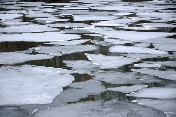 물에 녹는 얼음 floes — 스톡 사진