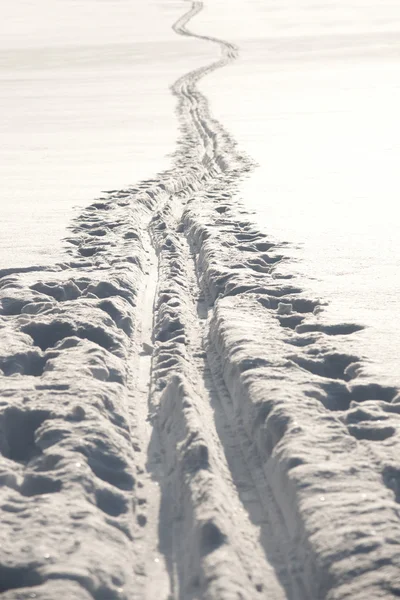 크로스컨트리 스키 트랙 — 스톡 사진