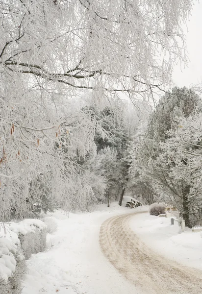 Καλύβα στο χιόνι — ストック写真