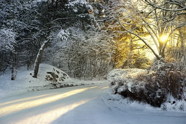 Landelijke weg in de winter — Stockfoto