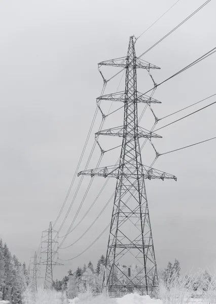 Piloni elettrici — Foto Stock