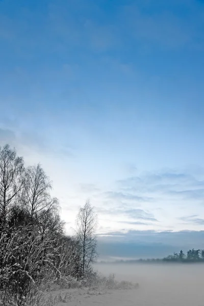 Niebla paisaje de invierno —  Fotos de Stock