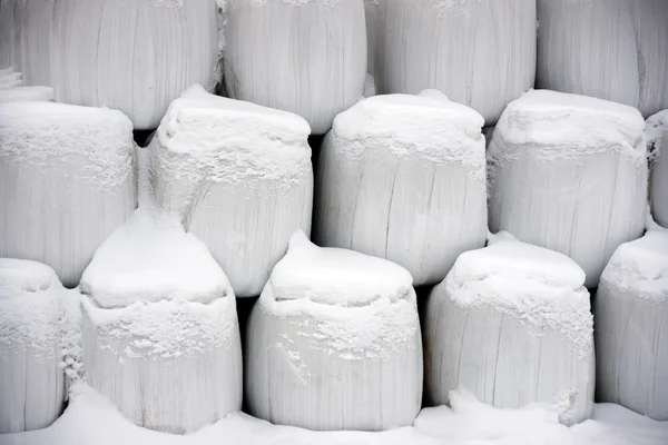 Hay bales in winter — Stock Photo, Image
