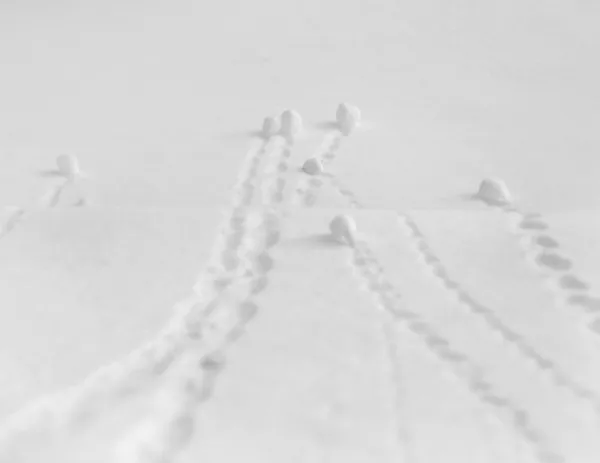 Снежки на склоне — стоковое фото