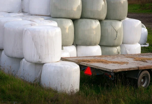 Hay bales in plastic — Stock Photo, Image