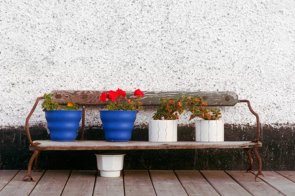 Скамейка с цветочными горшками — стоковое фото