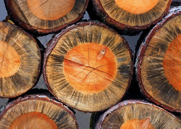 Holzstapel — Stockfoto