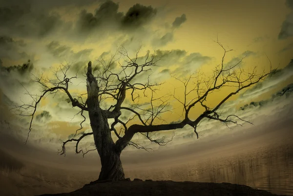 Çıplak ağaca soyut resimle — Stok fotoğraf