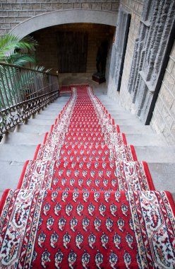 Kırmızı CARPET