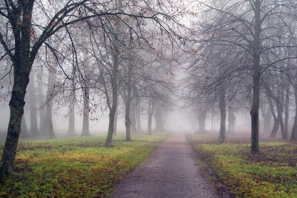 Footpath on an early misty morning in the fall