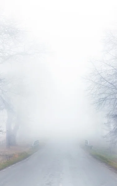 Street in fog — Stock Photo, Image