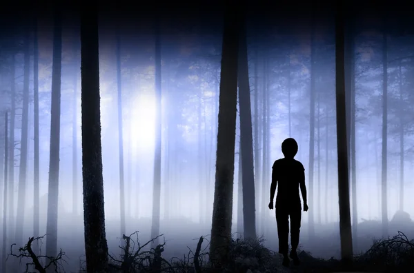 Osoba v modré mlhavé lese — Stock fotografie