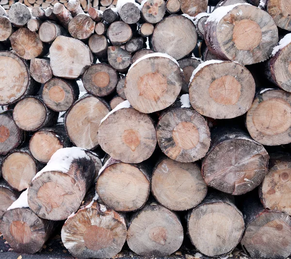Log pile — Stock Photo, Image