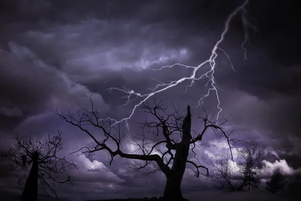 Strom s bleskem — Stock fotografie
