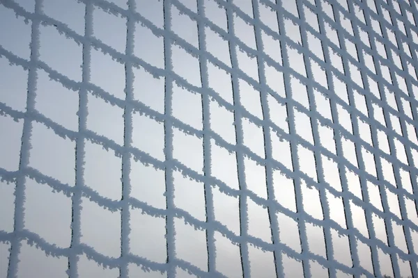 Net med frost — Stockfoto